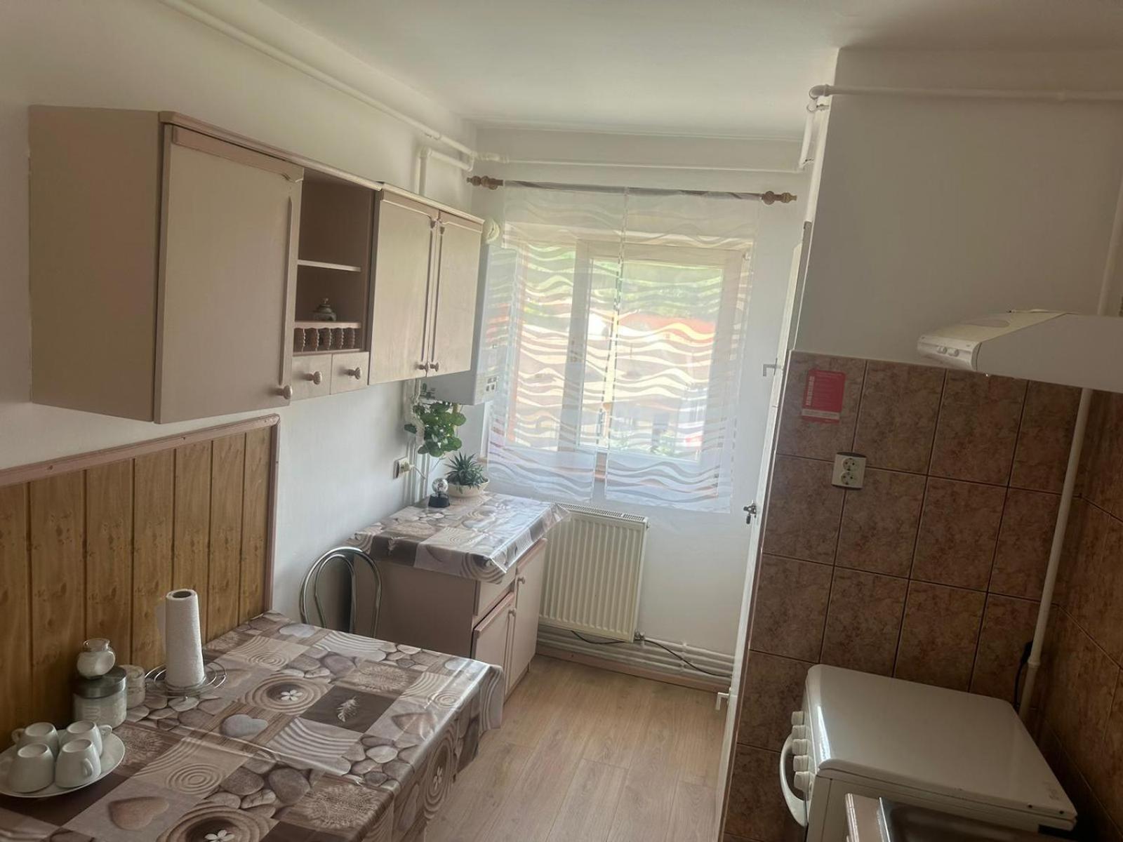 Apartament La Ilie Appartement Ocna Sibiului Buitenkant foto