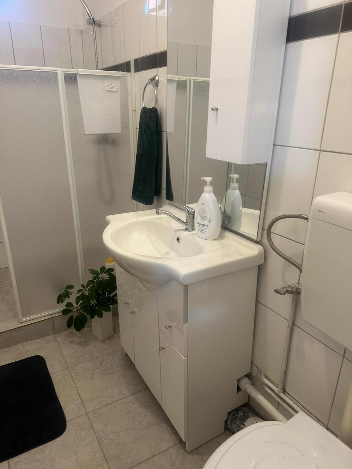 Apartament La Ilie Appartement Ocna Sibiului Buitenkant foto